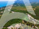Просторный участок 15 соток в хвойном лесу