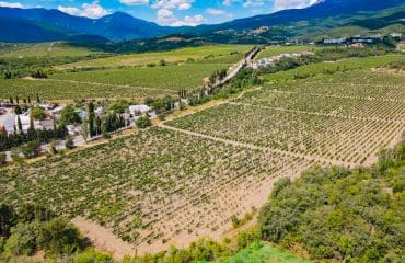 Участок 22 сотки.